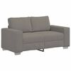 vidaXL Dvosed svetlo siv 160x77x82 cm žametno blago