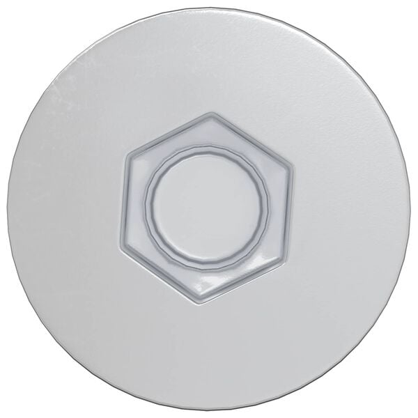 vidaXL Potrdilni vijaki 2 pcs srebrna &Oslash;7 x 50 mm Kovina