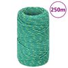 vidaXL Vrv za čoln zelena 2 mm 250 m polipropilen