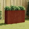 vidaXL Vrtna visoka greda 120x40x80 cm corten jeklo