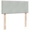 vidaXL Box spring postelja z vzmetnico svetlo siva 120x190 cm žamet