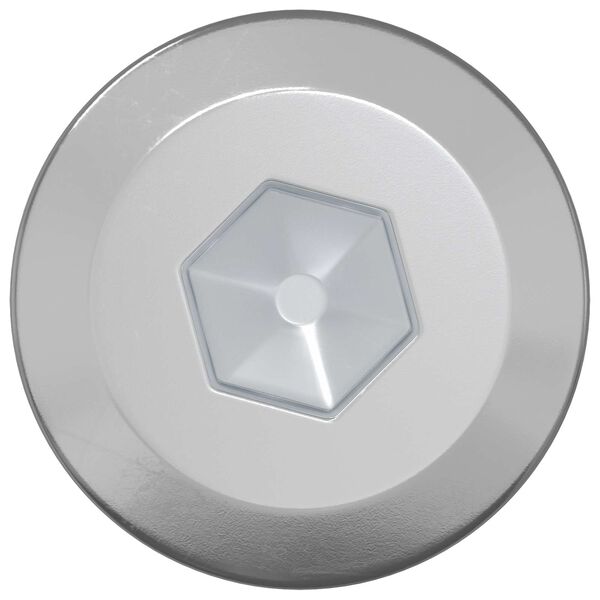 vidaXL Leseni vijaki 1900 pcs srebrna Jeklo