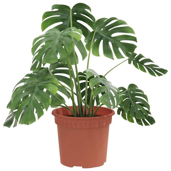 vidaXL Okrogli cvetlični lonec 6 pcs Kamnito rdeča &Oslash; 12,5 x 10 cm