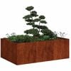 vidaXL Planter Rusty 120x80x40 cm Vremensko odporno jeklo