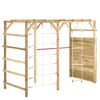 vidaXL Plezalni okvir 240x100x170 cm impregnirana borovina