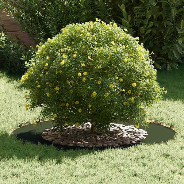 vidaXL primeren za ravne obroče dreves 5 pcs Olivno zelena &Oslash;50 / 80 cm