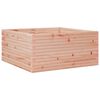 vidaXL Vrtno cvetlično korito 100x100x46 cm trden les douglas