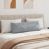 vidaXL Blazine za kavč 2 pcs Svetlo siva 120 x 40 cm blago