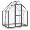 vidaXL Rastlinjak z okvirjem antracit 169x114x202 cm aluminij