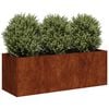 vidaXL Planter Rusty 120x40x40 cm Vremensko odporno jeklo