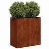 vidaXL Planter Rusty 80x40x80 cm Vremensko odporno jeklo