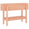 vidaXL Vrtna visoka greda 101x30x69 cm trden les douglas