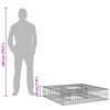 vidaXL Gabionska dvignjena postelja srebrna 100 x 100 x 20 cm