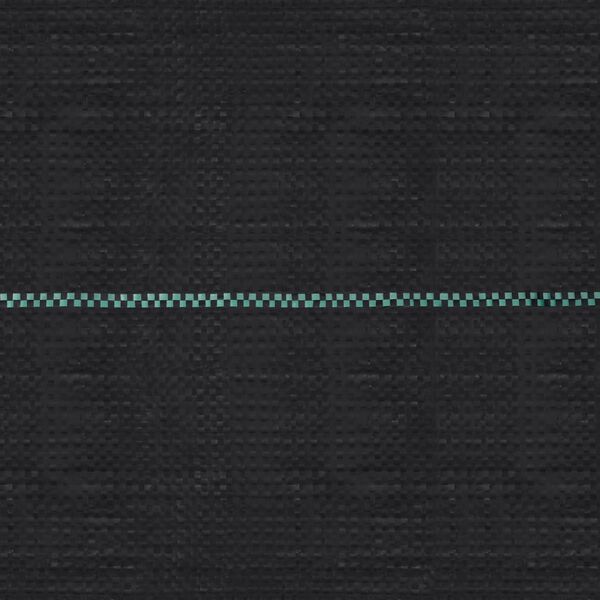 vidaXL Tkanina proti plevelu in koreninam mat črna 2x100 m PP