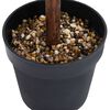 Sličica izdelka 4 od 5