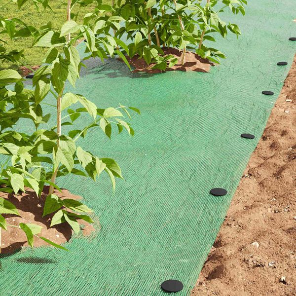 vidaXL Plastični kljuni 500 pcs Črna &Oslash;3 x 11 cm Plastika