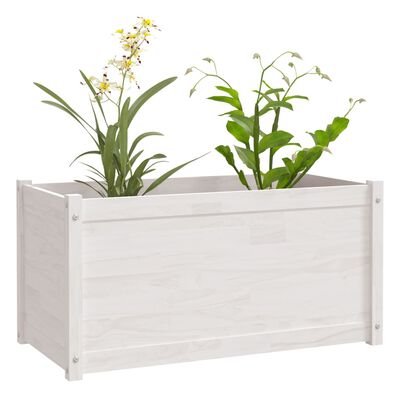 vidaXL Vrtno cvetlično korito belo 100x50x50 cm trdna borovina
