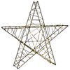 vidaXL 3D božična zvezda 120 LED Toplo bela 55 x 53,5 x 10 cm