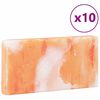 vidaXL Solni Kamni 10 pcs Roza 20 x 2.5 x 10 cm Kamena sol