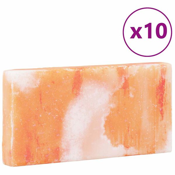 vidaXL Solni Kamni 10 pcs Roza 20 x 2.5 x 10 cm Kamena sol