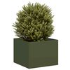 Olive_green