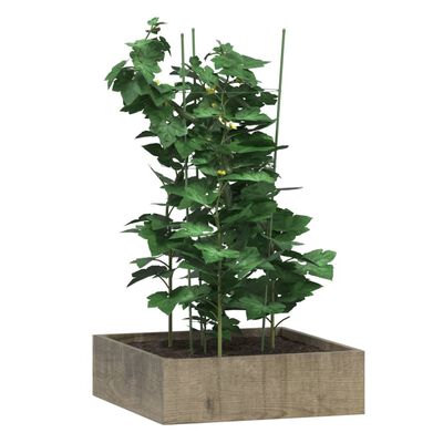 vidaXL Opora za vrtne rastline s 3 obroči 5 kosov zelene 75 cm jeklo