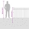 vidaXL Spike Fence Črna 200 x 150 cm Pra&scaron;no lakirano jeklo