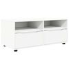 vidaXL TV omarica 100 x 48 x 43 cm Bela Inženirski les