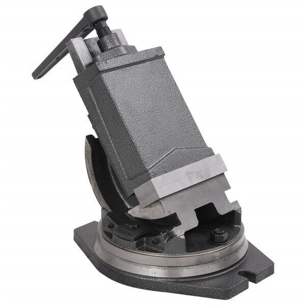 vidaXL Nagibni primež z 2 osema 160 mm