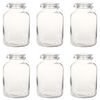 vidaXL Stekleni kozarci za marmelado z zapiralom 6 kosov 5 L