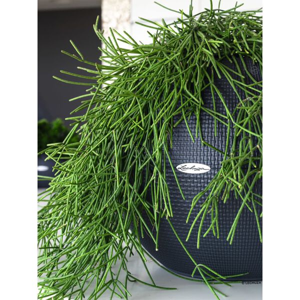 LECHUZA Cvetlični lonec PURO Color 50 ALL-IN-ONE premer 50 cm skrilast