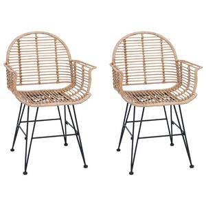 vidaXL Jedilni stol 2 pcs Naravna 44 x 44 x 74 cm Ratan in železo
