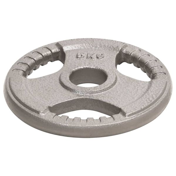 vidaXL Olimpijske uteži 2 kosa 10 kg lito železo