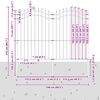 vidaXL Vrtna ograja Woerden s suličastim vrhom črna 240x175 cm jeklo