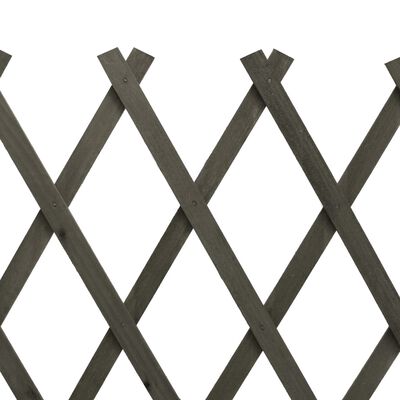 vidaXL Vrtna mrežasta ograja siva 120x60 cm trden les jelke