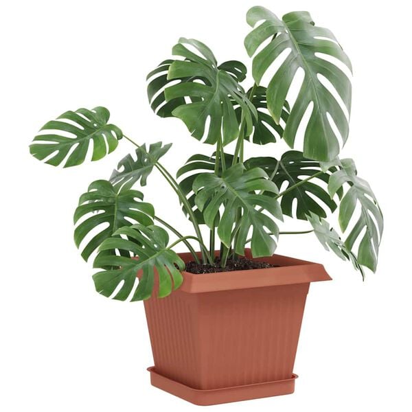 Prikazana fotografija izdelka 3 od 10