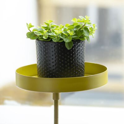 Esschert Design Pladenj za rastline z objemko okrogel zlat S