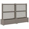 vidaXL Velika zidna posoda s trelisu 2 pcs Siva 200 x 43 x 133,5 cm PP