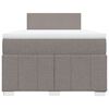 vidaXL Box spring postelja z vzmetnico taupe 120x190 cm blago
