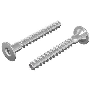 vidaXL Potrdilni vijaki 2 pcs srebrna &Oslash;5 x 40 mm Kovina