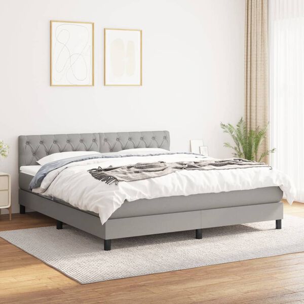 vidaXL Box spring postelja z vzmetnico svetlo siva 160x200 cm žamet