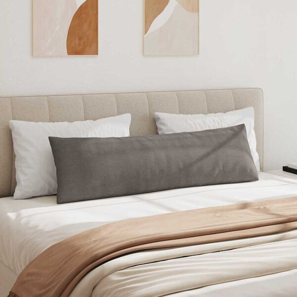 vidaXL Blazine za kavč 2 pcs Svetlo siva 145 x 40 cm Žametna tkanina