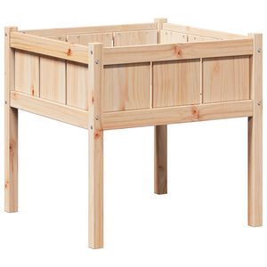 vidaXL Vrtni lonček Narava 70 x 70 x 70 cm Masivno borovo les