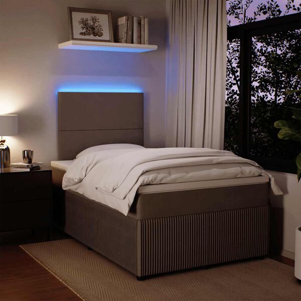 vidaXL Box spring postelja z vzmetnico svetlo siva 120x200 cm žamet