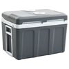 vidaXL Prenosna termoelektrična hladilna torba 40 L 12 V 230 V E