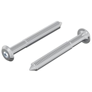 vidaXL Vijak 2 kos srebrna M6 x 50 mm Jeklo