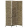 vidaXL Paravan 3-delni 116x160 cm vodna hijacinta rjav