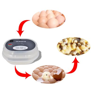 Avtomatski inkubator za jajca, primeren za 9 kokošjih jajc