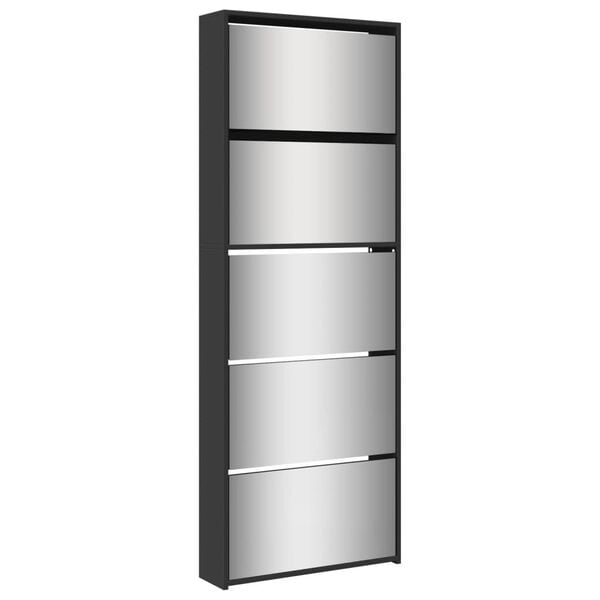 vidaXL Omarica za čevlje z ogledalom 5-nadstropna črna 63x17x169,5 cm