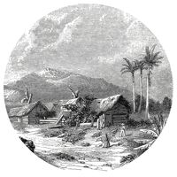 WallArt Okrogla tapeta Landscape of Guadeloupe 142,5 cm